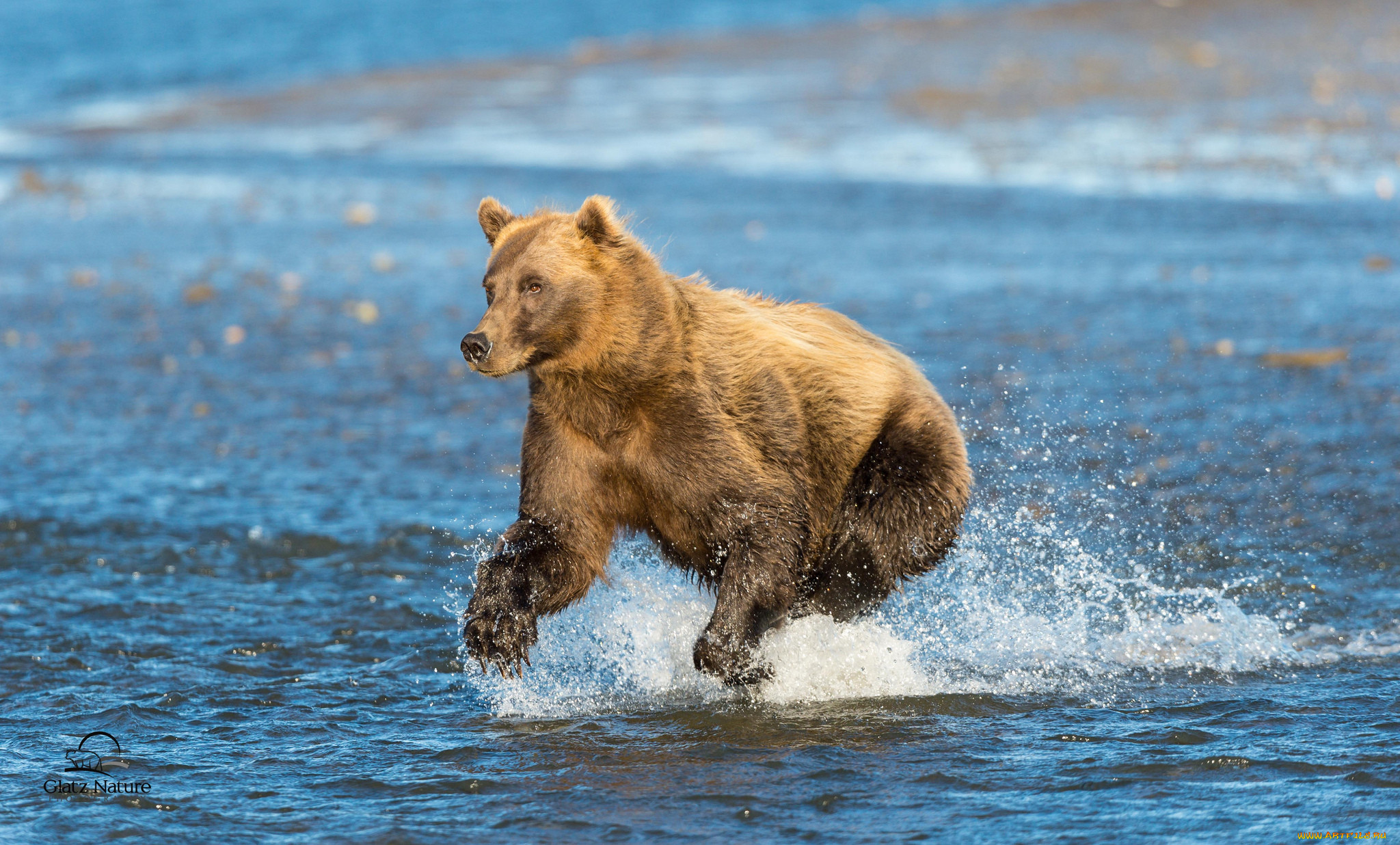 cook, inlet, alaska, , , , , 